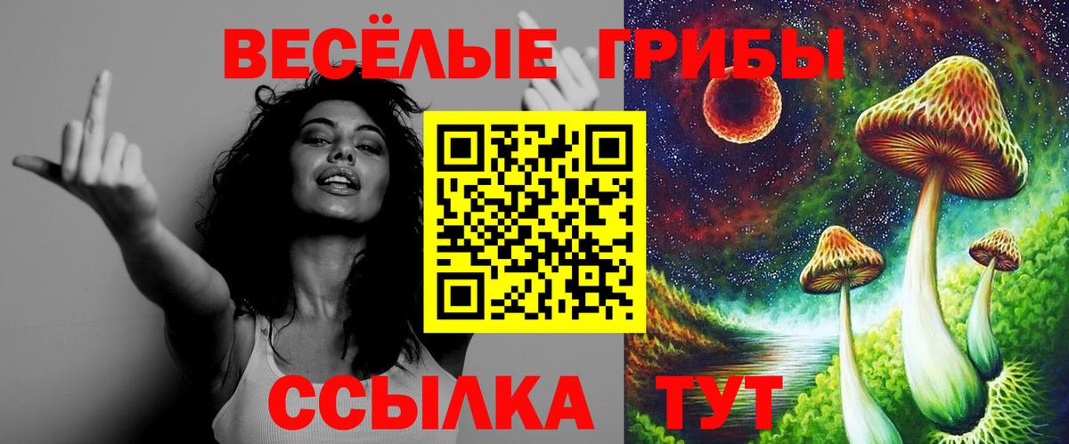 Псилоцибиновые грибы прущие грибы  цена   Джанкой  Вход с VPN 