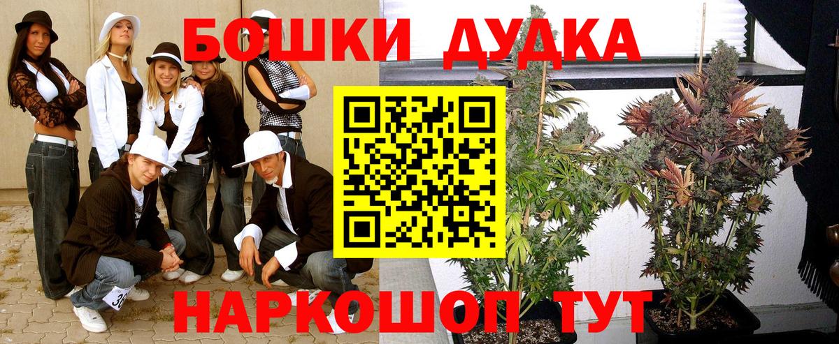 Конопля OG Kush Джанкой